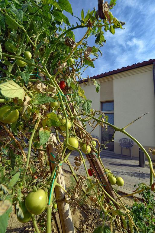 Resort Il Gallo Senone Senigallia Chambre photo